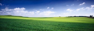 Canvas rusland zomer landschap - groene velden, de blauwe lucht en witte c