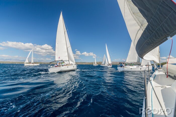 Canvas Sailing regatta yachts competition