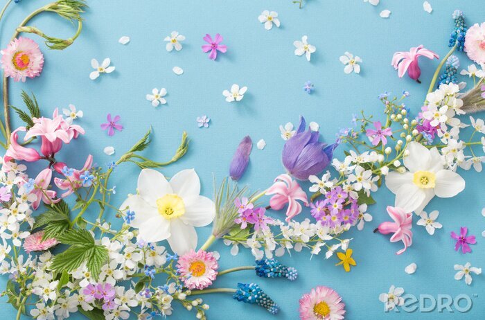Canvas Samenstelling van lentebloemen