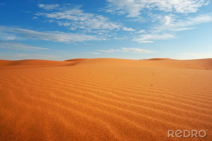 Canvas  sand dune in the sahara desert 