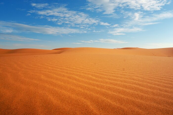 Canvas Sand dune in the sahara desert