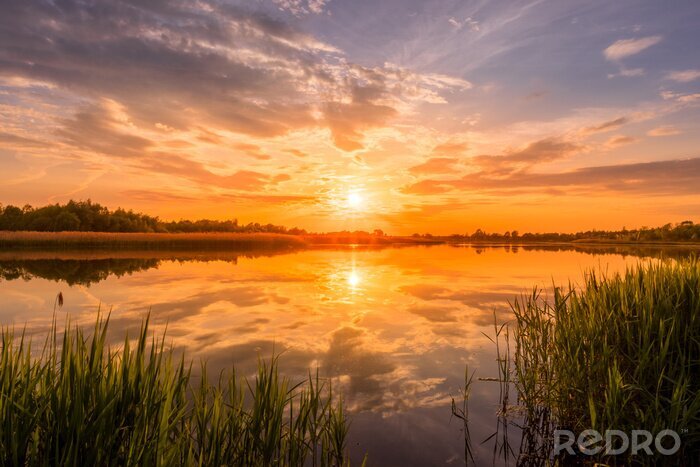 Canvas Scenic view of beautiful sunrise or dawn above the pond or lake at spring or early summer morning with cloudy sky background, fog over water and reed grass with dew at foreground. Landscape. Water ref