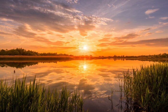 Canvas Scenic view of beautiful sunrise or dawn above the pond or lake at spring or early summer morning with cloudy sky background, fog over water and reed grass with dew at foreground. Landscape. Water ref