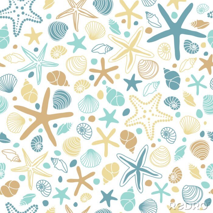 Canvas Schelpen op een witte achtergrond