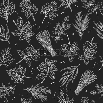 Canvas Schets van kruiden in zwart-wit
