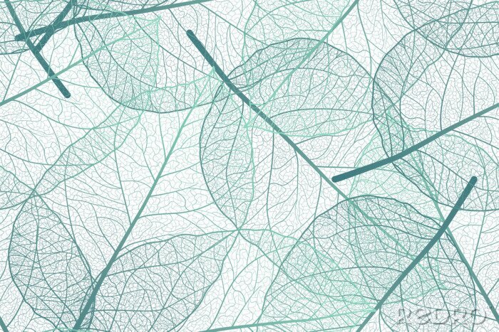 Canvas Seamless pattern with leaves veins. Vector illustration.
