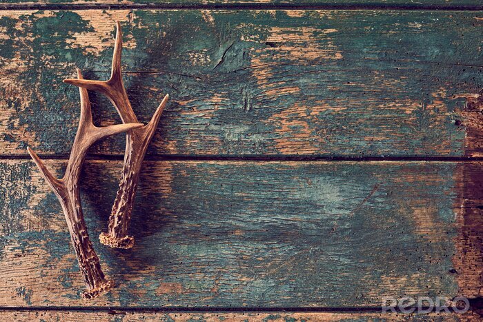 Canvas Seasonal stag antlers on rustic timber background