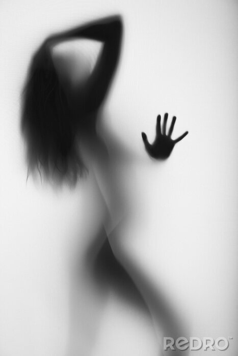 Canvas Sensueel vrouwensilhouet