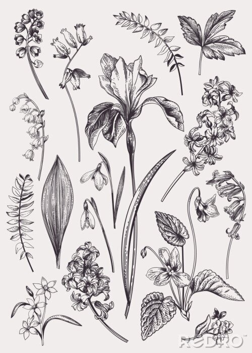 Canvas Set met lentebloemen.