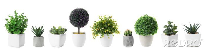 Canvas Set of artificial plants in flower pots isolated on white. Banner design