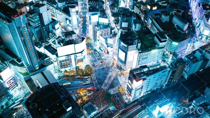 Canvas Shibuya bij nacht