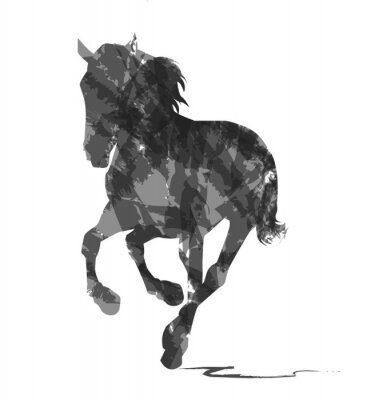 silhouet astratta di cavallo Selvaggio