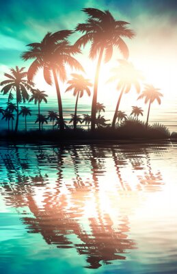 Silhouetten van palmbomen