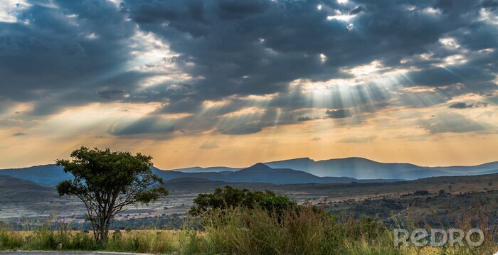 Canvas Skies of Africa