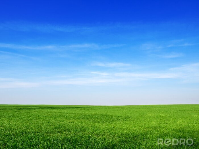 Canvas sky and grass backround