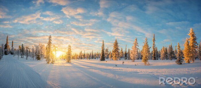 Canvas Sneeuw landschap bij zonsondergang, bevroren bomen in de winter in Saariselka, Lappland, Finland