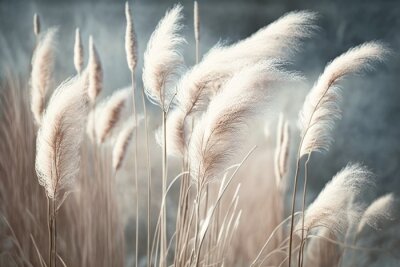 Canvas soft vegetation on an abstracted natural background Selloan cortaderia Pampas grass with a boho style background of dry reeds. wintertime fluffy long grass stems. Generative AI