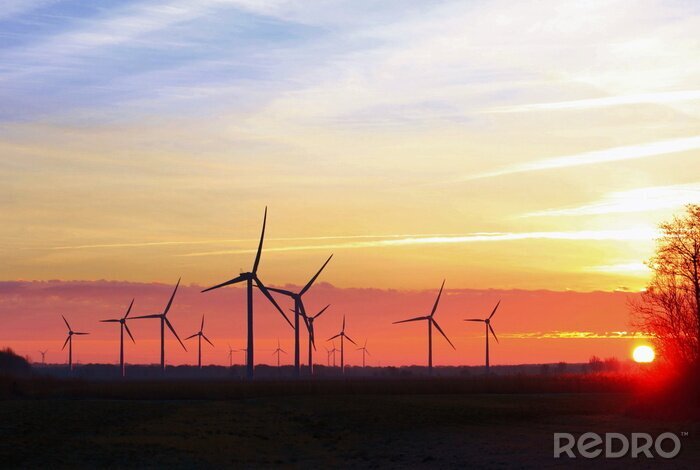 Canvas Sonnenaufgang - Windenergie