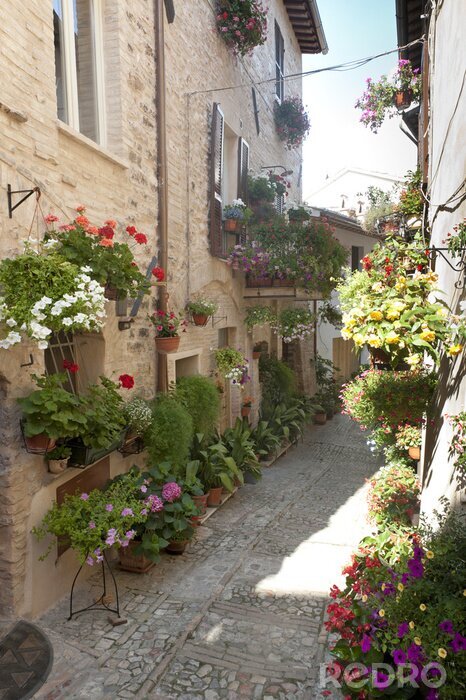 Canvas Spello, oude straat