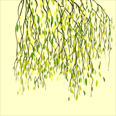 Spring achtergrond met groen blad, berkentakken.