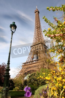 Canvas Spring ochtend met Eiffeltoren, Parijs, Frankrijk