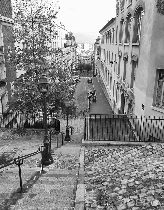 Canvas Steps of Montmartre, Paris