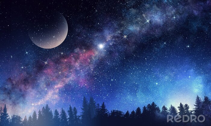Canvas Sterrenhemel &#39;s nachts met bos en maan