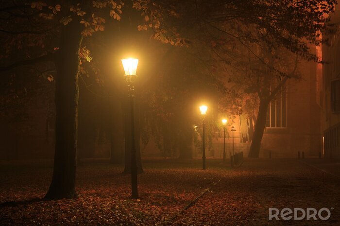 Canvas Straatverlichting in een park op een mistige nacht in de herfst.