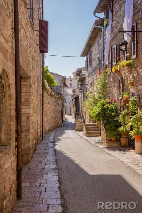 Canvas Strada con fiori, Assisi