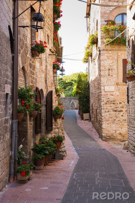 Canvas Strada medievale con fiori, Assisi