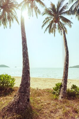 Strand en palmbomen op gras