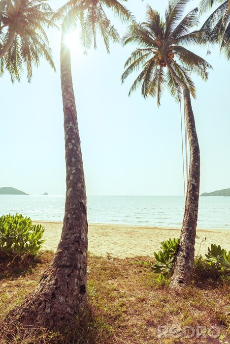 Canvas Strand en palmbomen op gras