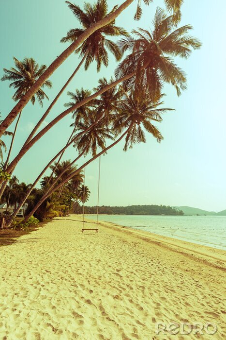 Canvas Strand en schommel aan een palmboom