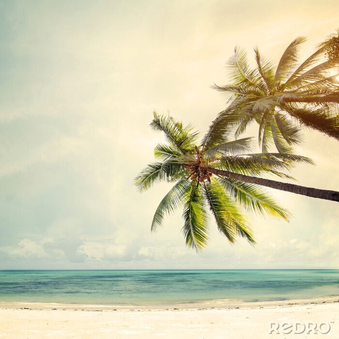 Canvas Strand met uitzicht op zee en palmbomen