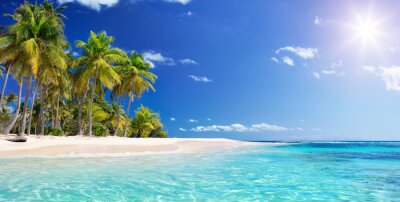 Strand palmbomen en turquoise water