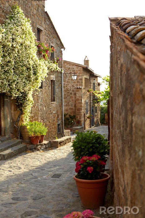 Canvas Straten met oude gebouwen In de Italiaans stad