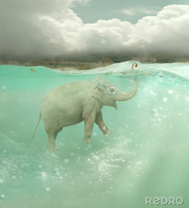 Canvas Submarine olifant