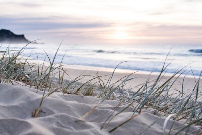 Canvas sunrise light on white sand beach with dune grass in Australia with turquoise surf waves of the pacific ocean 