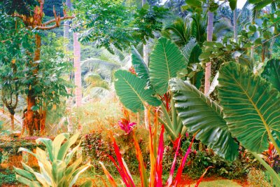 Surrealistische kleuren van fantasie tropische aard