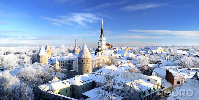 Canvas Tallinn. Estland. Sneeuw op bomen in de winter, Het panorama uitzicht