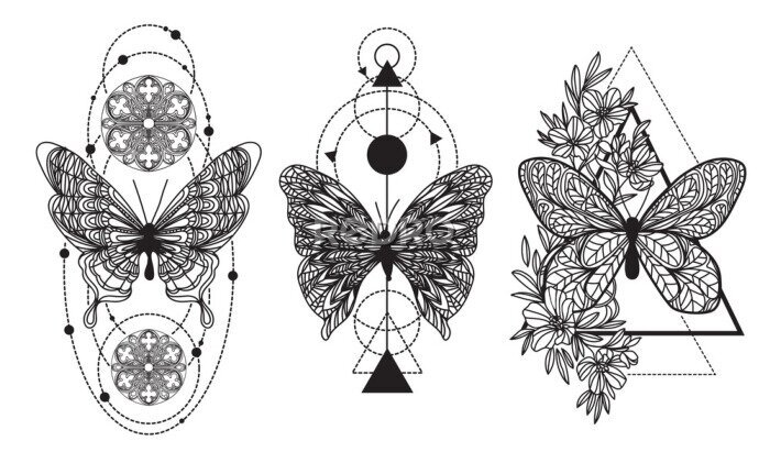 Canvas Tattoo art butterfly hand drawing and sketch with line art illustration isolated on white background.