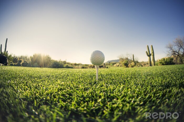 Canvas Tee off - golfbal groothoek uitzicht Fisheye lens effect.