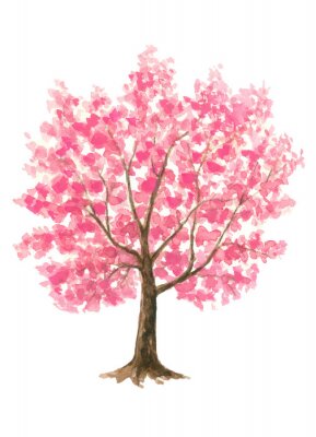 Tekening van bloeiende kersenboom
