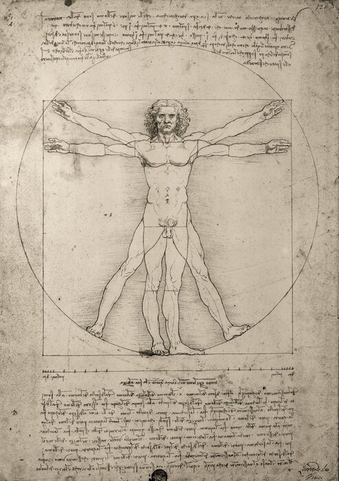 Canvas Tekening van Leonardo da Vinci
