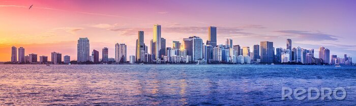 Canvas the skyline of miami while sunset