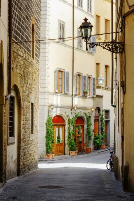 Canvas The Via Lambertesca street at historic center of Florence, Italy