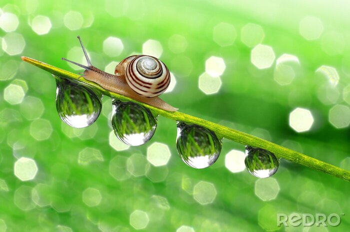 Canvas Thema van natuur voor kinderen