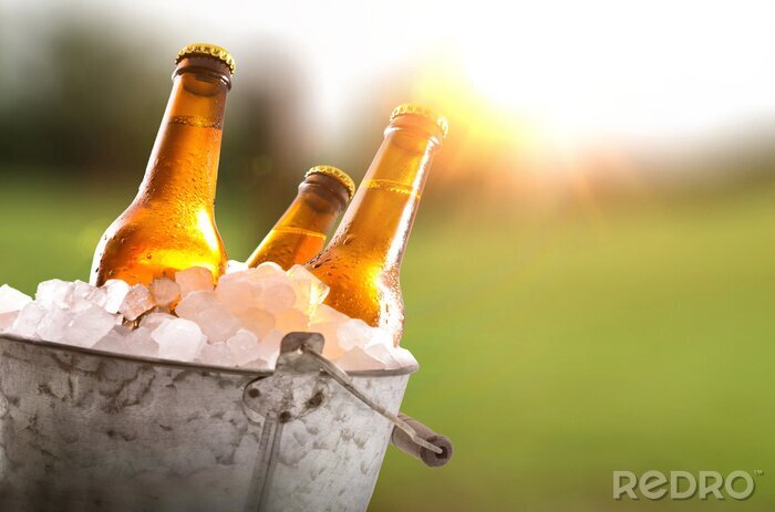 Canvas Three beer bottles in bucket full of ice cubes field