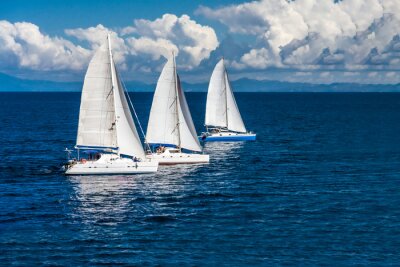 Canvas Three sailboats racing