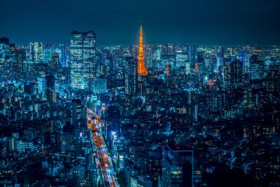 Tokio bij nacht in 3D